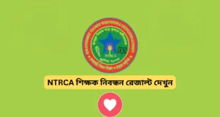 ১৯তম শিক্ষক নিবন্ধন রেজাল্ট ২০২৫: সহজে ফলাফল দেখার নিয়ম ও পরবর্তী পদক্ষেপ